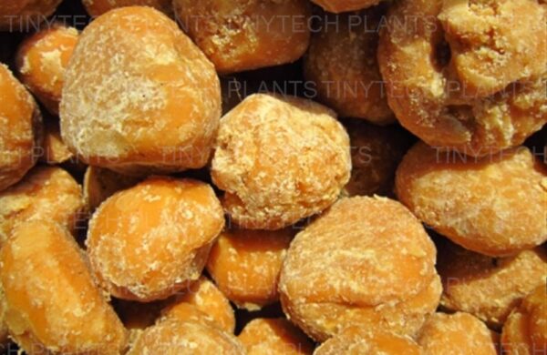 Jaggery