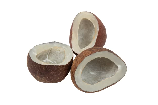 Coconut (Kopra Cut)