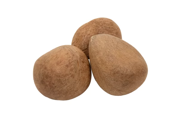 Coconut (Kopra Whole)